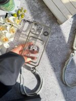 قاب گوشی آیفون 12 و آیفون 12 پرو جاکارتی دار نقاشی سگ کیوت